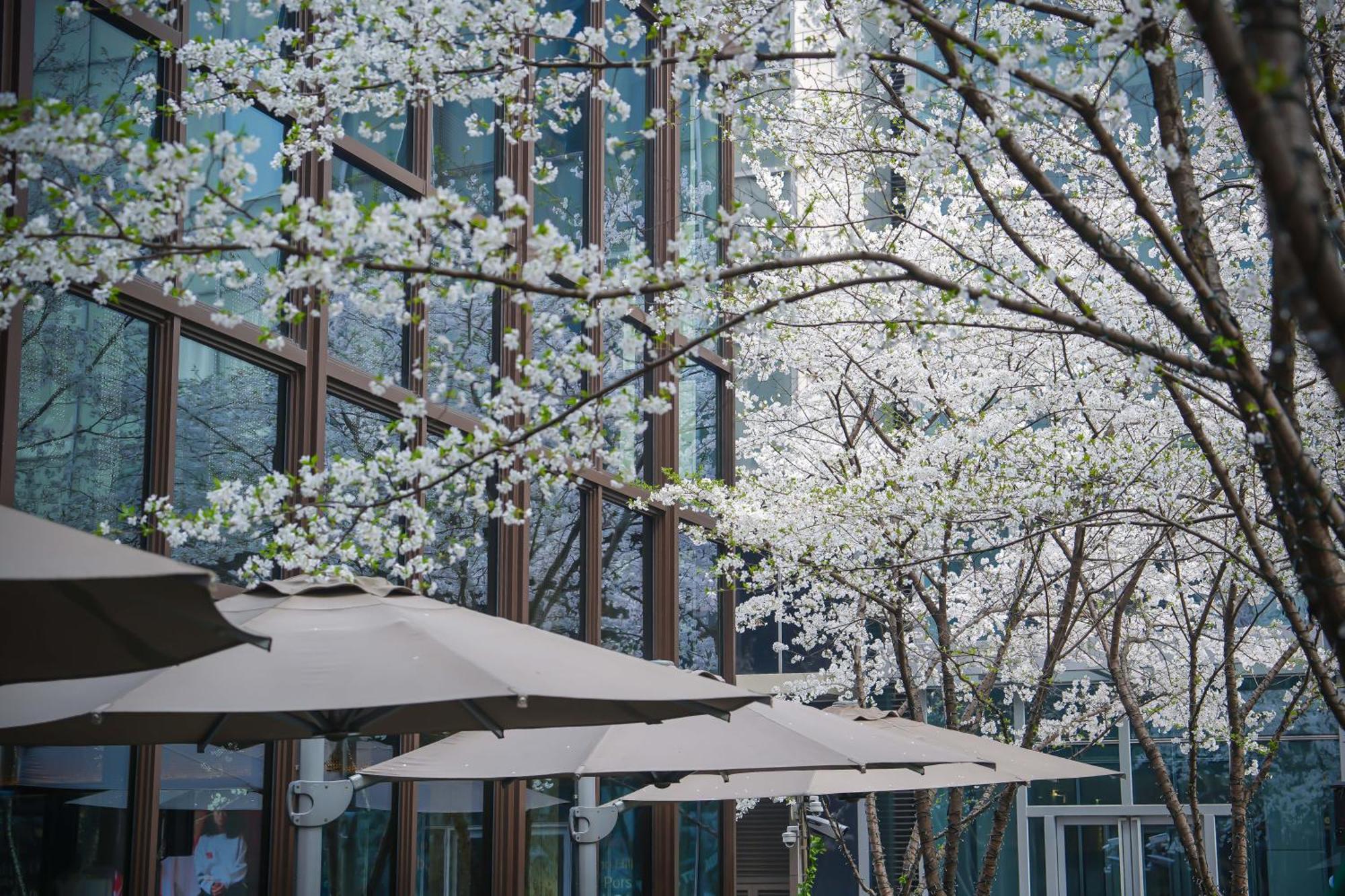 Midtown Shangri-La, Hangzhou - Around 5 Minutes Walking Distance To West Lake Exterior foto